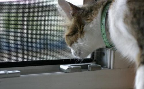 Olcsó Redőny szerelés, javítás Budapesten. Pénztárca barát nyílászáró és árnyékoló szakszerű kicserélés budapesten Csúcsminőségű termékeinkkel hosszú távra tervezhet, és mindezt a piacon megtalálható legjobb áron kínáljuk Önnek!